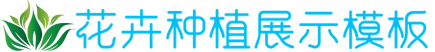 1xbet电投,1xbet网站首页入口